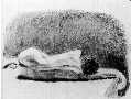 Charcoal drawing from life by Nevin